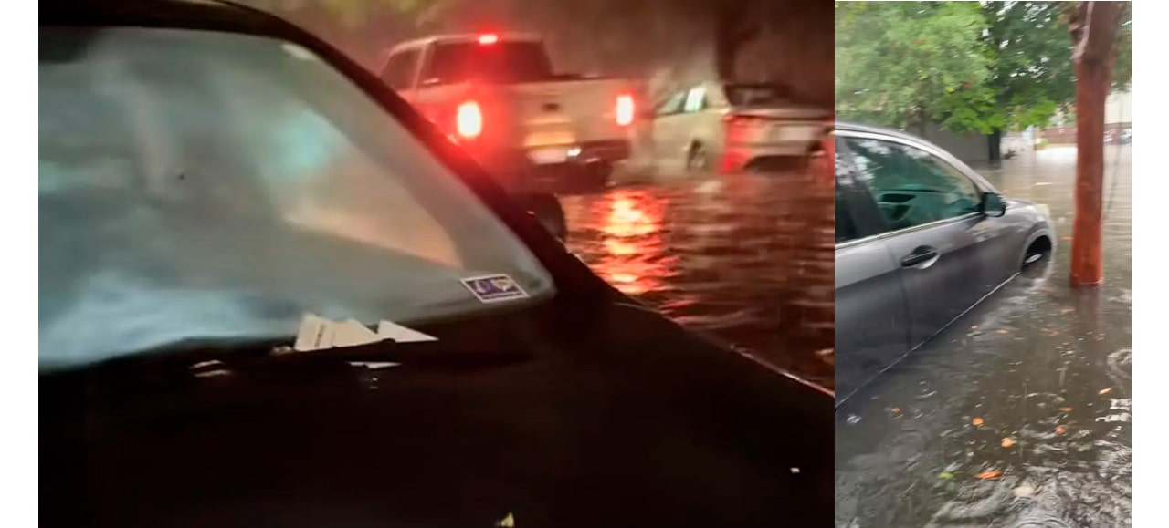 South Carolina Woman’s Car Tickets Go Viral After Flash Flooding Mishap