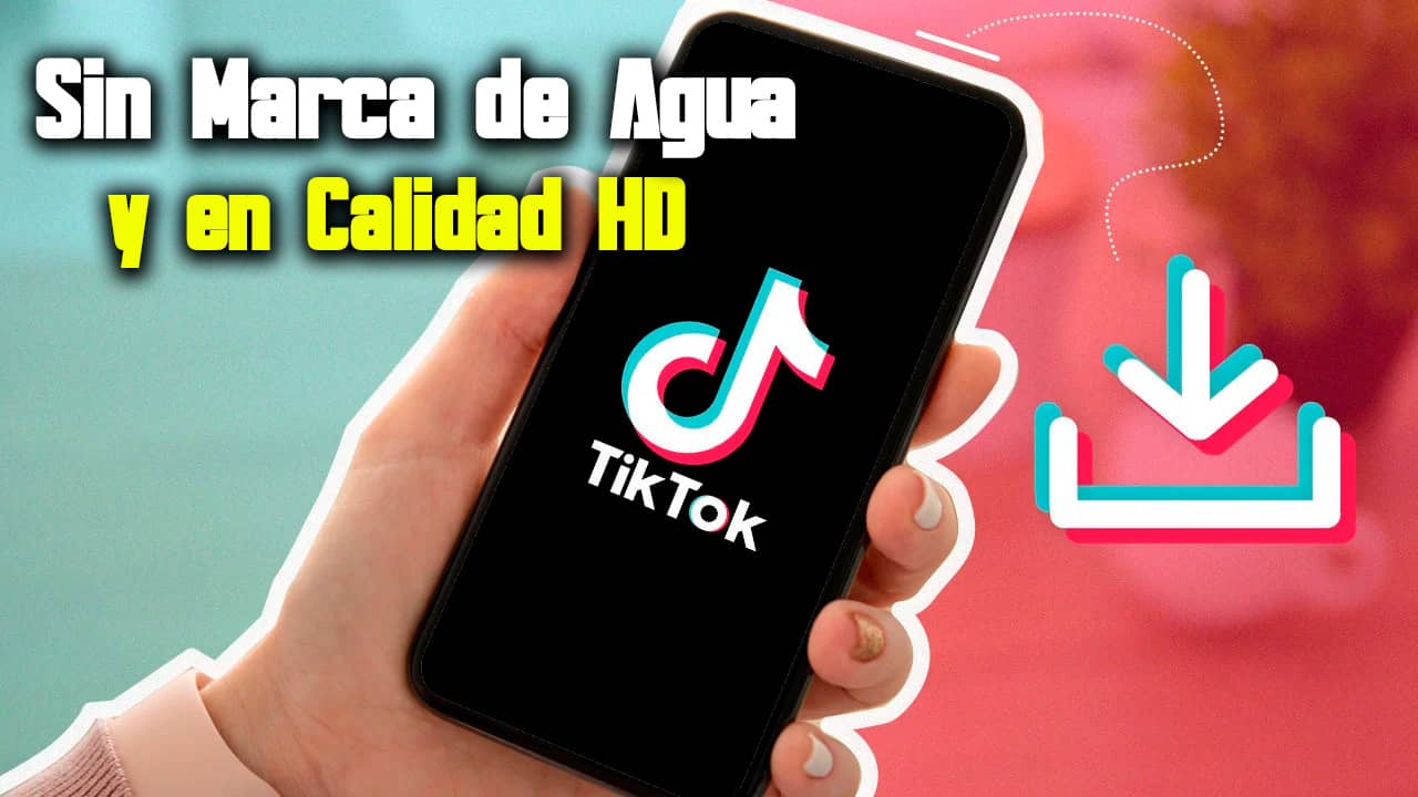 Cómo descargar videos de TikTok sin marca de agua y en HD (Guía completa)